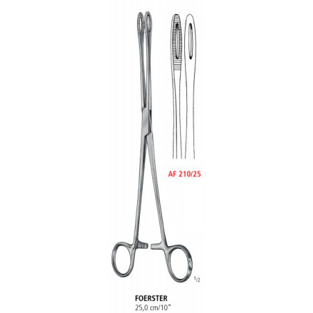 AF 210/25 шипці для спонжів FOERSTER NARROW, прямі, 25.0 см