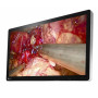 Медичний монітор Eizo EX3220 CuratOR 32" Full HD